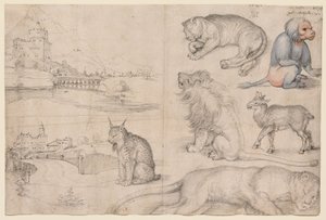  av Albrecht Dürer