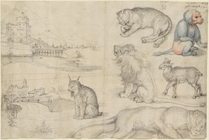 Skisser över djur och landskap, 1521. av Albrecht Dürer