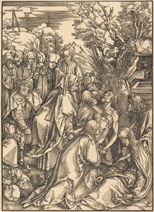  av Albrecht Dürer