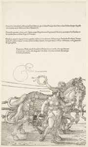  av Albrecht Dürer