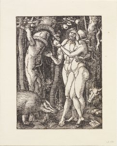 av Albrecht Dürer