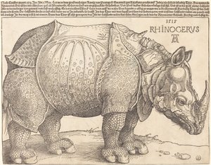 Noshörningen av Albrecht Dürer