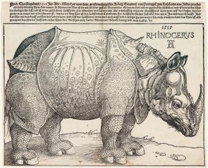 Noshörningen av Albrecht Dürer