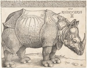  av Albrecht Dürer
