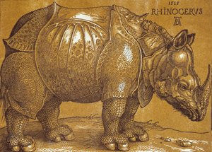 Noshörningen, 1515. av Albrecht Dürer