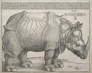 Noshörningen, 1515. av Albrecht Dürer