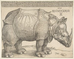Noshörningen.n.d. av Albrecht Dürer