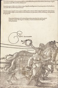The Triumphal Chariot of Maximilian I (The Great Triumphal Car) [skylt 3 av 8] av Albrecht Dürer