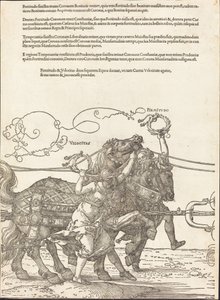 Maximilian I:s triumfvagn (Den stora triumfvagnen) [skylt 5 av 8] av Albrecht Dürer