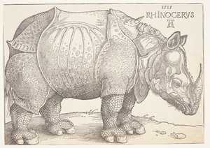 Noshörningen av Albrecht Dürer