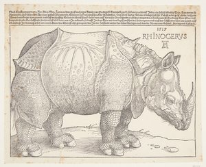 Noshörningen av Albrecht Dürer