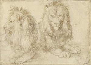 Två sittande lejon av Albrecht Dürer