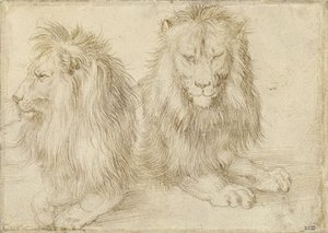 Två sittande lejon, 1521 av Albrecht Dürer