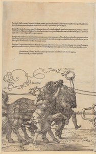  av Albrecht Dürer