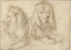 Två liggande lejon. 1521 av Albrecht Dürer