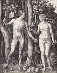 Adam och Eva, pub. 1504 (gravyr) av Albrecht Dürer