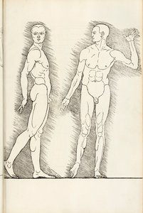 Anatomiska träsnitt från Herein finns fyra böcker av mänsklig proportion, 1528 av Albrecht Dürer