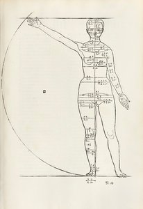 Kvinnligt anatomiskt träsnitt från "Herin förstås fyra böcker av mänsklig proportion" av Albrecht Dürer