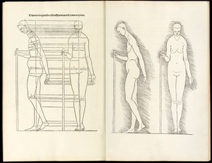 Kvinna med stav, anatomiskt träsnitt från Häri fattas fyra böcker av mänsklig proportion, 1528 av Albrecht Dürer
