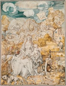 Madonna with a Multitude of Animals (akvarell, penna och pensel på papper) av Albrecht Dürer or Duerer