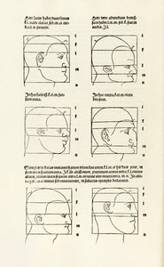 Proportioner av det mänskliga huvudet från "Här förstås fyra böcker av mänsklig proportion" av Albrecht Dürer