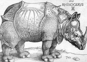 Noshörning av Albrecht Dürer