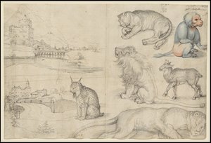 Skisser över djur och landskap, 1521 av Albrecht Dürer