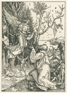 Ängeln med budskapet till Joachim, ca 1504 (träsnitt) av Albrecht Dürer or Duerer