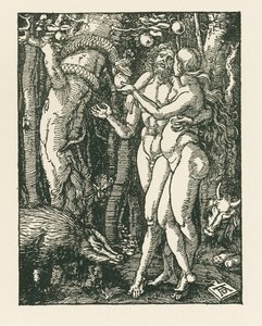 Människans fall, ca 1510 (träsnitt) av Albrecht Dürer or Duerer