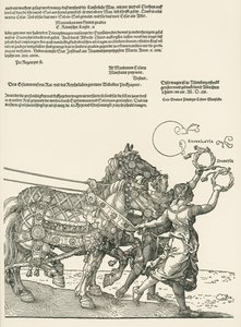 Den stora triumfbilen av Albrecht Dürer or Duerer
