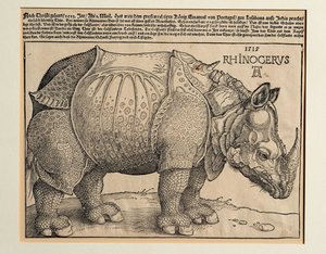 Noshörningen av Albrecht Dürer or Duerer