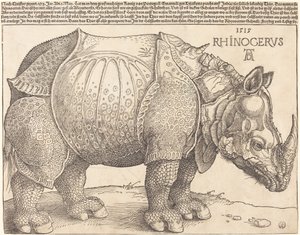 Noshörningen av Albrecht Dürer
