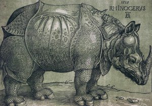 Noshörningen, 1515 av Albrecht Dürer