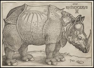Noshörningen, 1515 av Albrecht Dürer