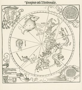 Södra halvklotet av den celestrala globen av Albrecht Dürer or Duerer
