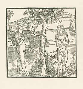 Fallet. Illustration till "Der Ritter von Turn" , ca 1493-93 (träsnitt) av Albrecht Dürer or Duerer