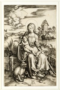 Jungfru och barn med apa av Albrecht Dürer