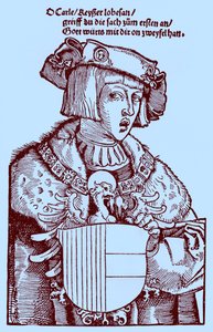 Ungdom Karl V (1500-1558) (gravyr) av Albrecht Dürer
