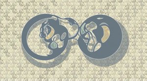 Sammanfattning: Feline Infinity