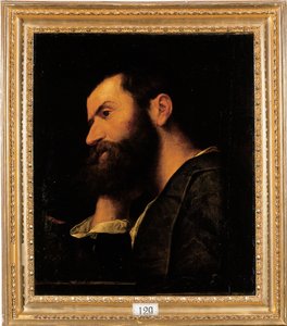 Porträtt av poeten Pietro Aretino, bystlängd, vilande huvudet på höger hand vid en avsats med en växt