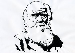 Porträtt av Charles Darwin - Porträtt av den engelske naturforskaren Charles Darwin (1809-1882) Illustration av Alessandro Lonati