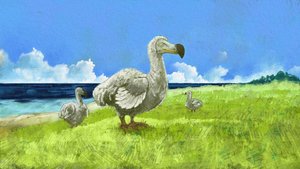 Representation av den utdöda dodofågeln (illustration) av Alessandro Lonati