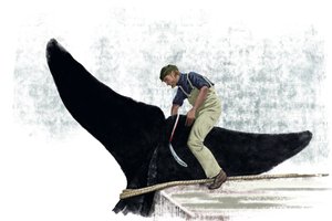 Valbåt som skär svansen på en val av Alessandro Lonati