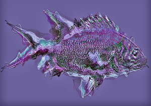 Fisk i vattnet, 2020, (blandteknik) av Alex Caminker