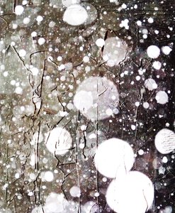 Snow, 2019, (blandade media) av Alex Caminker