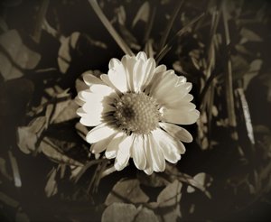 Namnlös, 2019, (fotografi) av Alex Caminker