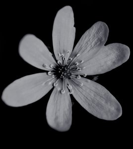 Namnlös, 2019, (fotografi) av Alex Caminker