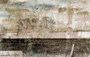 brun dimma, 2019, (blandade media) av Alex Caminker