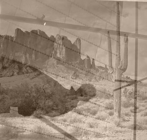 öknen, 2019, (blandade media, collage; hittade objekt) av Alex Caminker