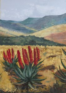 Röd aloe på sluttningen av Alex Cornell